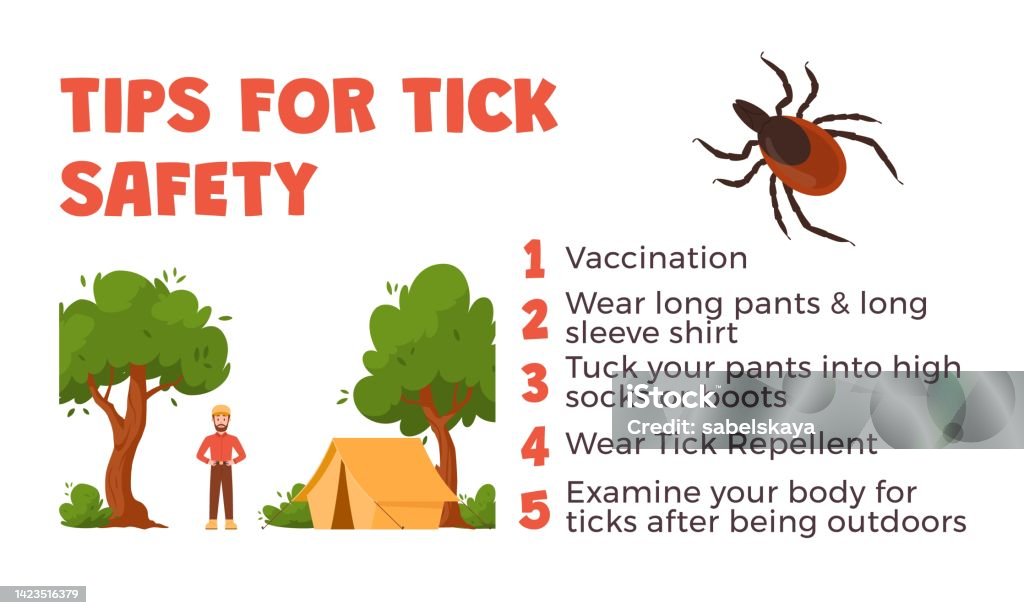 Tick Tips Ticks Safety Tips Mite Bites Prevention Infographics Flat Vector ...