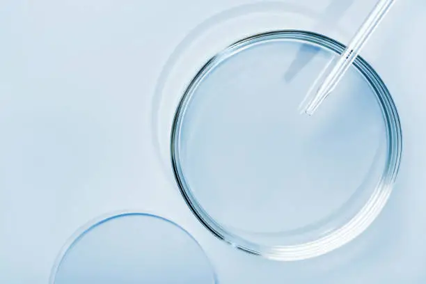 Empty round petri dish or glass slide and Pipette on blue background. Mockup for cosmetic or scientific product sample.