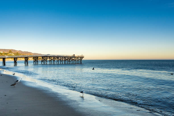 istock Paradise Cove Malibu 1423521915