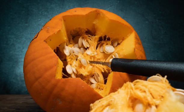 istock Halloween pumpkin gutting, removing seeds from inside. 1423523526