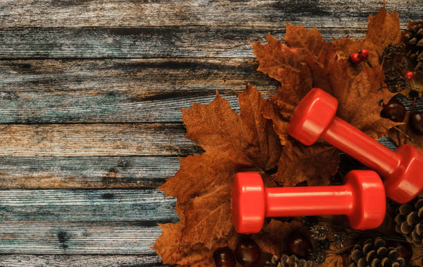 istock Autumn or fall flat lay composition, with gym dumbbells on leaves. 1423524665