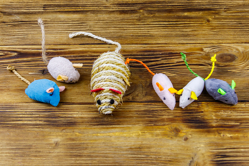 Set of mouses toys for cat on wooden background