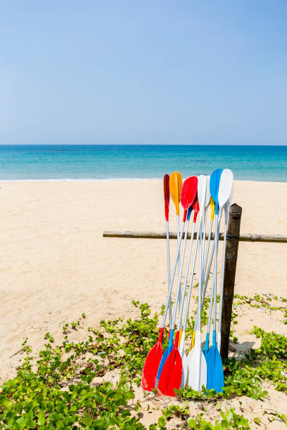 istock Colorful oars over fine sandy beach with clear blue sky background 1423526989