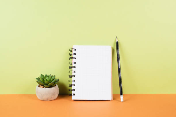 istock Blank notepad with a pencil on an orange and green background, pot with a cactus, copy space for text, office desk 1423529979