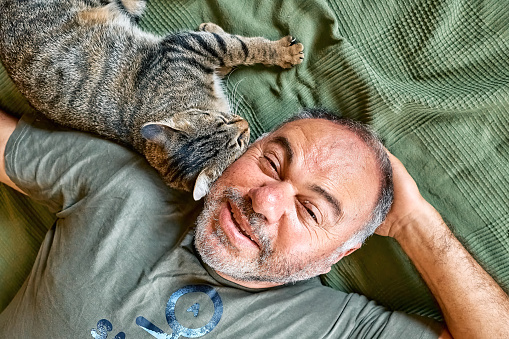 Top view of bearded middle-aged man lying on a bed and playing with his gray tabby cat. Human-animal relationships. Pets care. Funny home pet. Cat day. Selective focus.