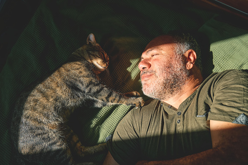 Top view of bearded middle-aged man lying on a bed and playing with his gray tabby cat. Human-animal relationships. Pets care. Funny home pet. Cat day. Selective focus.