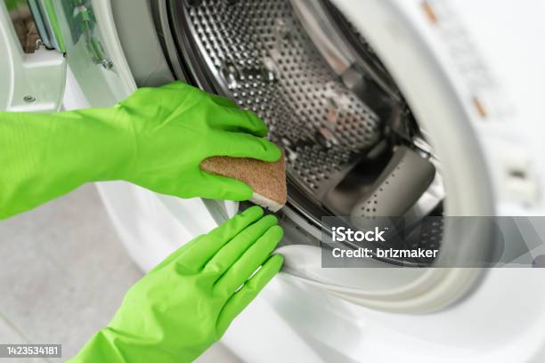 Gloved Hands Clean Washing Machine With Open Door Stock Photo - Download Image Now - Washing Machine, Downloading, Front View