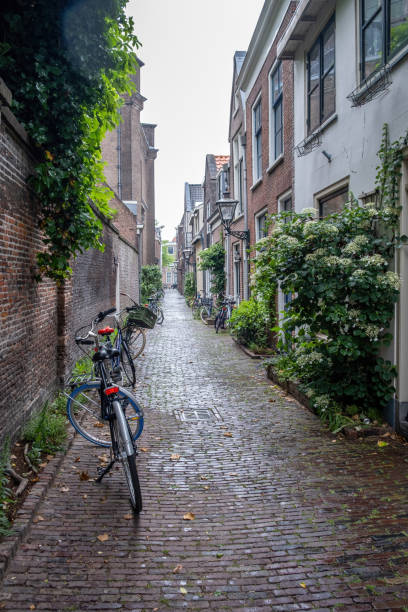 istock Leiden Netherlands, brick wall building, cobblestone path, parked bicycle, green plants. Vertical 1423540008