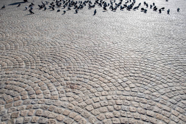 Cobblestone public square paved with grey paving stone. Sunny day at Holland with pigeons, peace birds background.