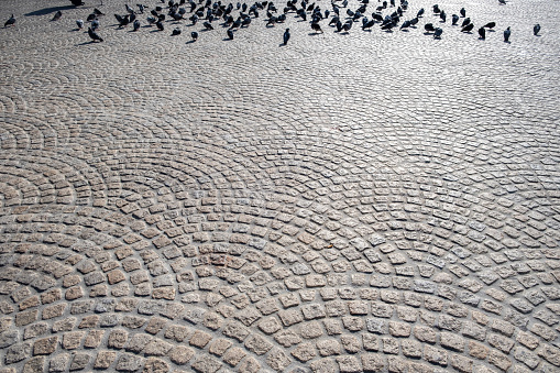 Cobblestone public square paved with grey paving stone. Sunny day at Holland with pigeons, peace birds background.