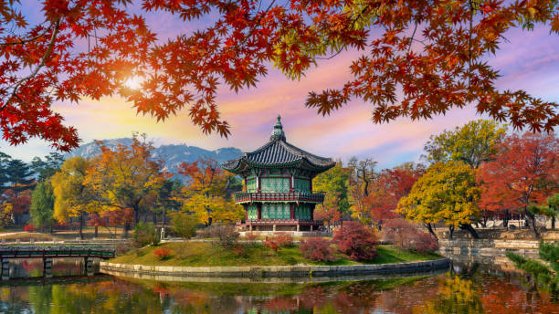 istana gyeongbokgung di musim gugur, seoul, korea selatan. - seoul potret stok, foto, & gambar bebas royalti