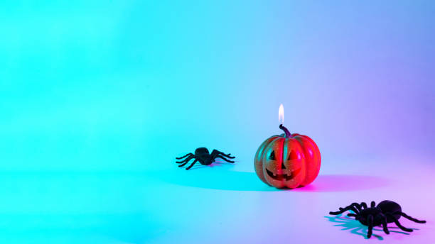 halloween pumpkin. black night spider, scary spooky pumpkin on night neon helloween background. minimalistic background for autumn holidays. space for text. - jack fruit imagens e fotografias de stock