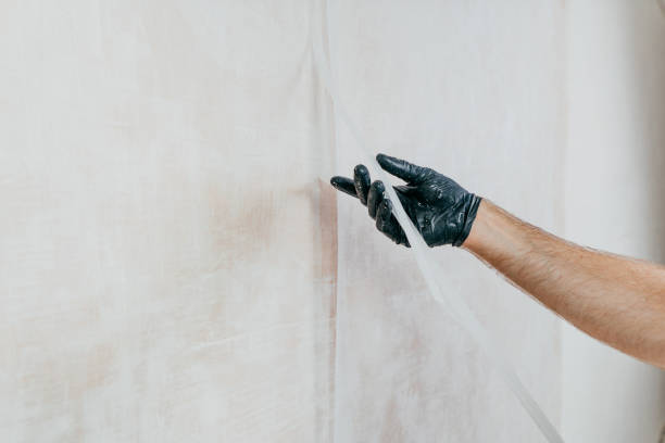 istock Male worker applying fiberglass surface tissue on the wall 1423543400