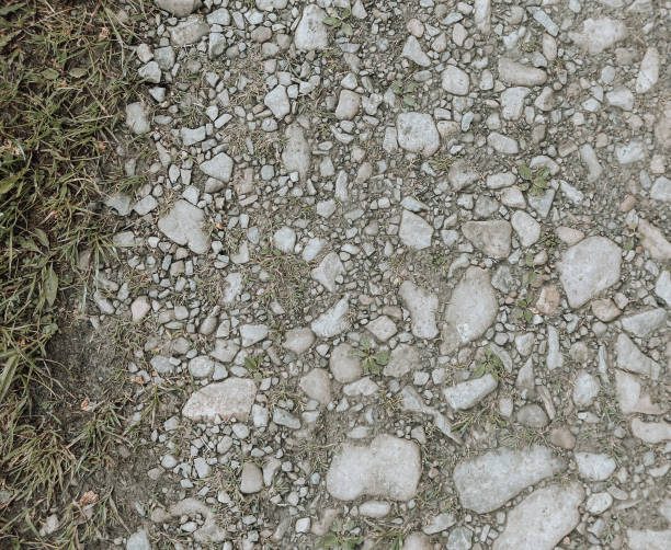 a dirt road with small stones and grass, close up. a grunge background with organic texture in beige palette. - old dirt road imagens e fotografias de stock