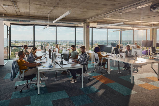 Multi-tasking computer programmers working in a modern office. Large group of programmers working in a modern office of a software company. Copy space. occupation stock pictures, royalty-free photos & images