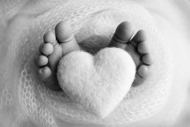 крошечная ножка новорожденного ребенка. мягкие ноги новорожденного в шерстяном одеяле. крупным планом пальцы ног, пятки и ступни новорожде - human foot baby black and white newborn стоковые фото и изображения