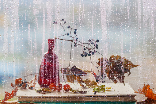 Autumn still life through window glass with raindrops. Grape branches in glass vase, berries, books. Fall mood, seasons concept
