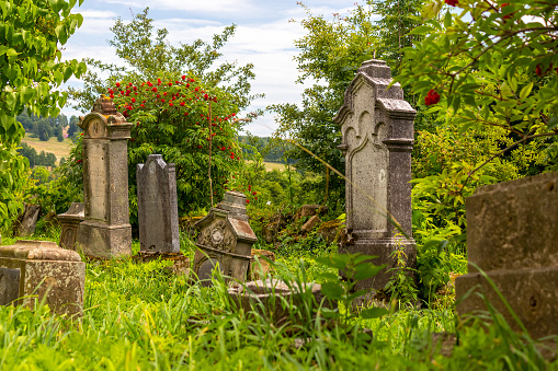 tombstones in an old abandoned cemetery overgrown with grass