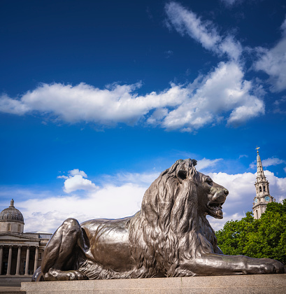 Lion statue in London Trafalgar Square in a sunny summer blue sky day. Called: The Landseer Lions,