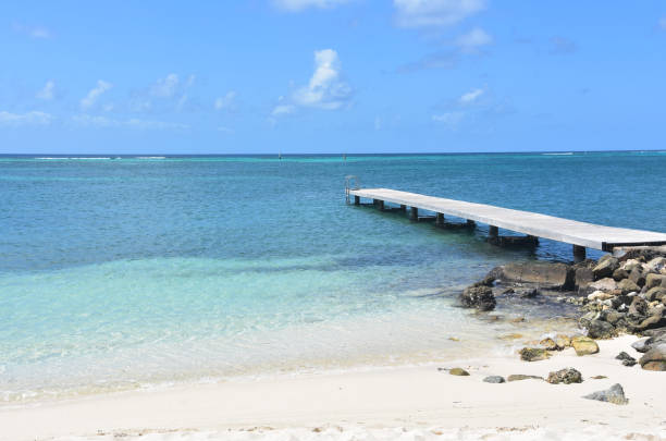 istock Dock Extending into the Ocean Waters of Rodgers Beach 1423564521