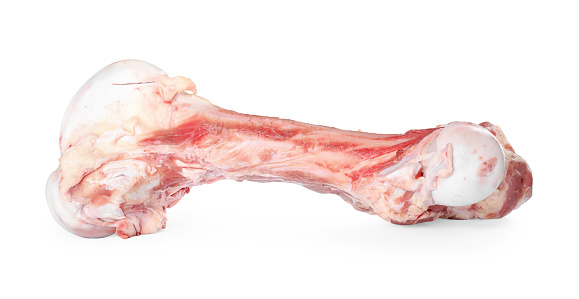 Big raw meaty bone isolated on white