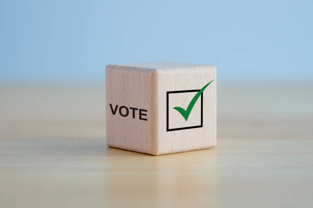 istock Elections and Voting concept. Check mark and VOTE text on wooden block. 1423568250