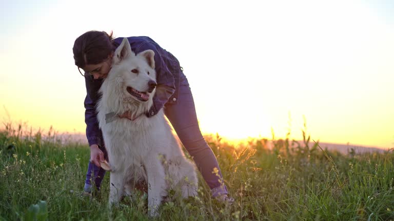 Woman grooming her dog in the park