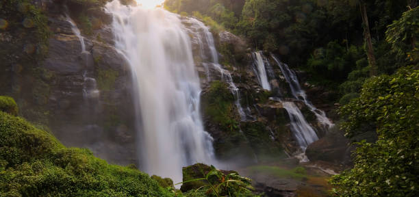 istock The jungle with a Waterfall-River-rocks-covered-with rainy forest-Waterfall in the forest at park 1423569519
