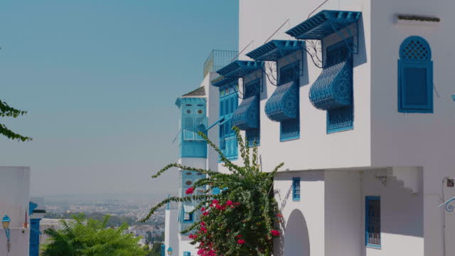 City architecture Sidi Bou Said houses