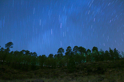 Night landscape in the pine forest of Presa de Las Niñas on the island of Gran Canaria, Spain