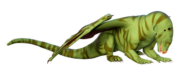 istock 3D Rendering Fairy Tale Dragon on White 1423570995