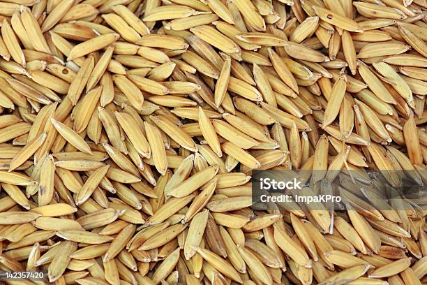 Arroz Paddy - Fotografias de stock e mais imagens de Agrafo - Agrafo, Agricultura, Amarelo