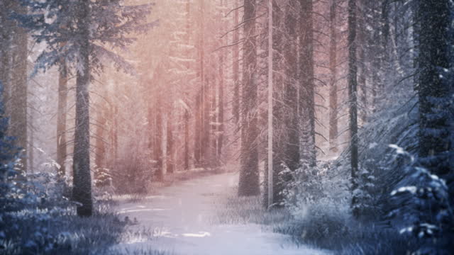 New year card image with terrific winter forest pathway in a sunlight
