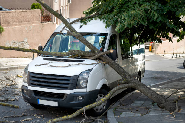 фургон оказался в ловушке под упавшим деревом после штормового ветра - breaking wind стоковые фото и изображения