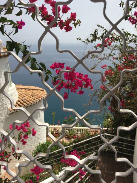 istock Flowers and sea through a window 1423576710