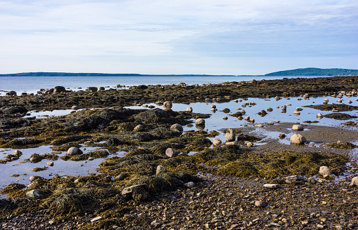 Low tide with tidal pools on the coast of Maine in the early morning light.