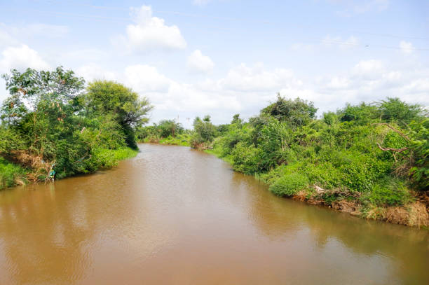 Turbid water in river. Beautiful tree landscape The gir forest. also called lacustrine. blue sky, Lake, FLAT WATER, STILL-WATER, seaweed. Autumn landscape. and river water in Gujarat India.