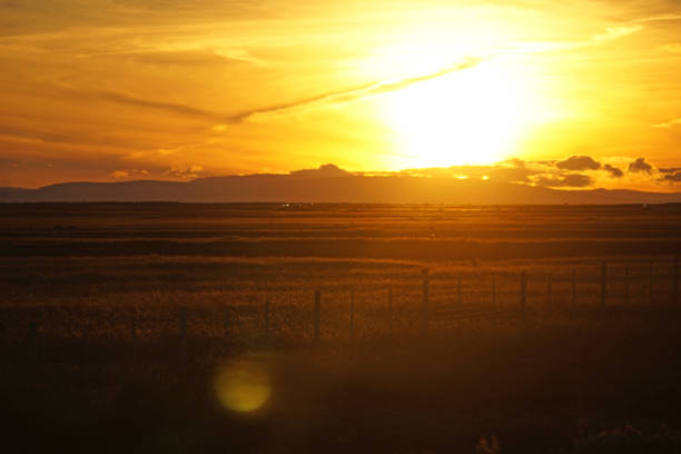 istock Sunset over field in Iceland 1423578835