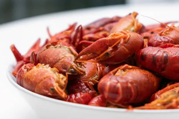 Photo of Close up delicious boiled crayfish food on a plate