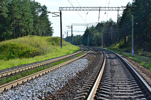 empty railway going through the forest, close-up