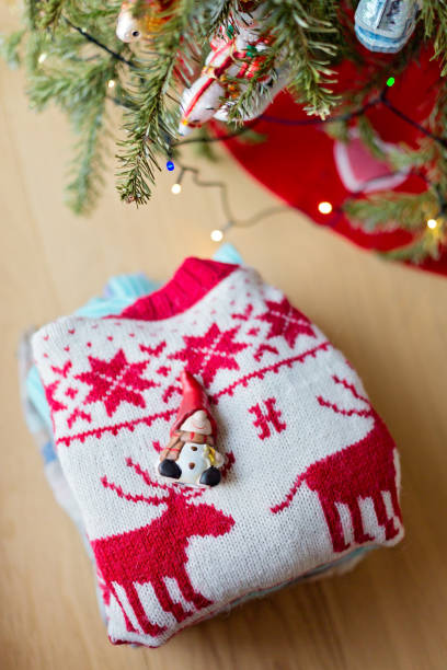 istock Swedish Tomte - Christmas Decoration Santa Claus 1423583721