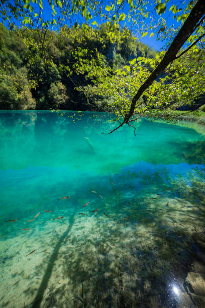 Plitvice Lakes National Park, Croatia. It is a UNESCO World Heritage Site.