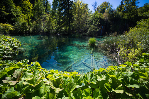 Plitvice Lakes National Park, Croatia. It is a UNESCO World Heritage Site.