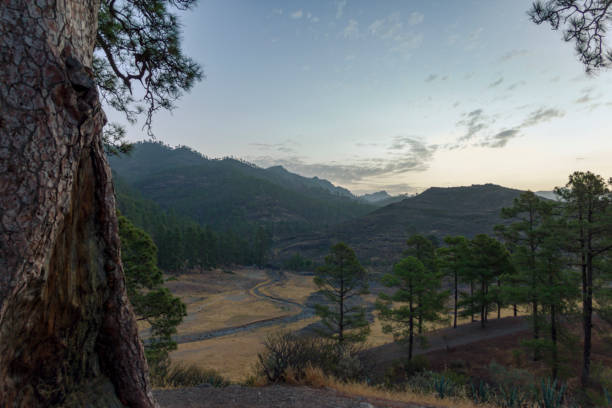 Landscape of Las Niñas Dam in drought Landscape of the Presa de Las Niñas in the dry season on the island of Gran Canaria, Spain niñas stock pictures, royalty-free photos & images