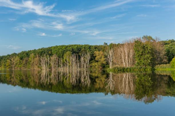 istock Scenic rural landscape 1423585795