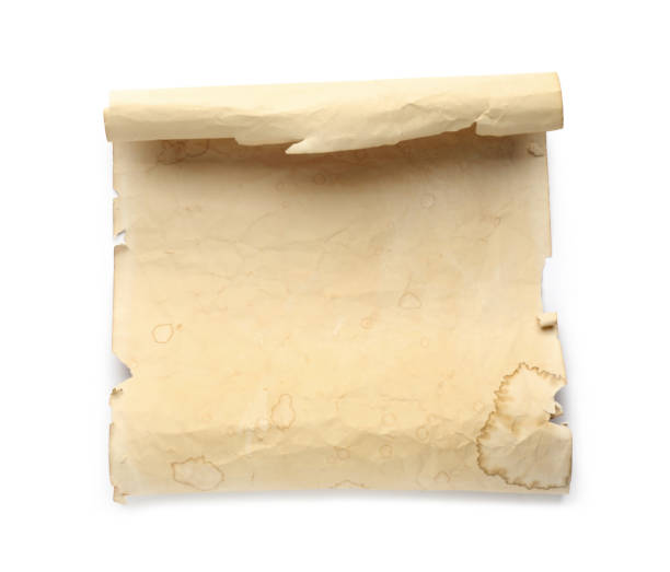 istock Sheet of old parchment paper isolated on white, top view. Space for design 1423598177