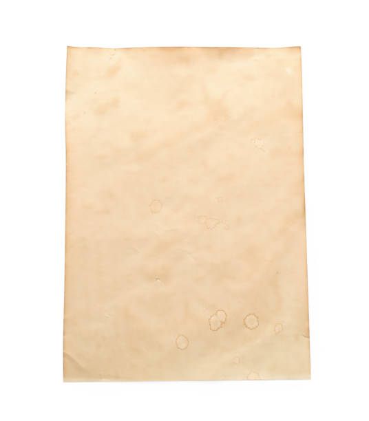 istock Sheet of old parchment paper isolated on white, top view. Space for design 1423598250