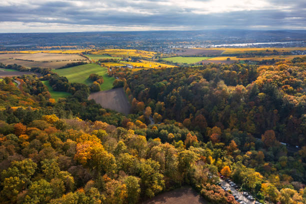 Bird's-eye view of the Rhine plain with the river in the background and the foothills of the Taunus/Germany in the foreground with its autumn-colored forest