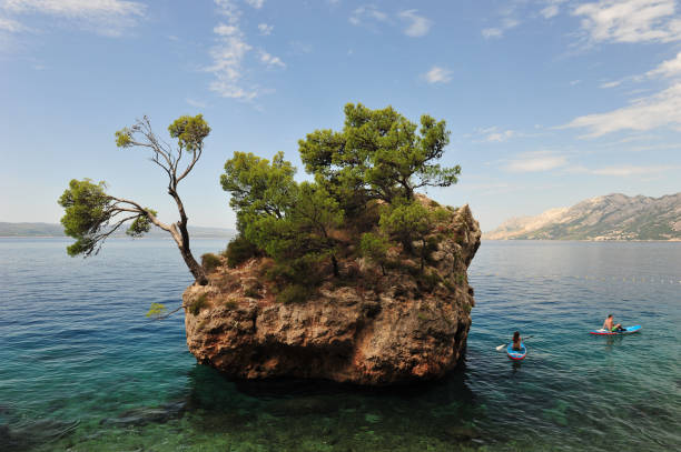 ilha minúscula - croatia nature tree plant - fotografias e filmes do acervo