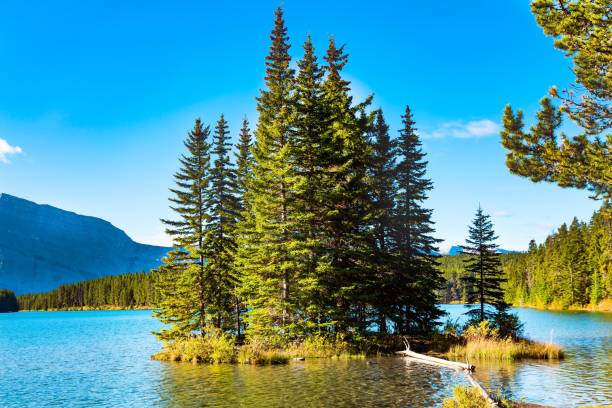 istock Two Jack Lake. Indian Summer 1423602694